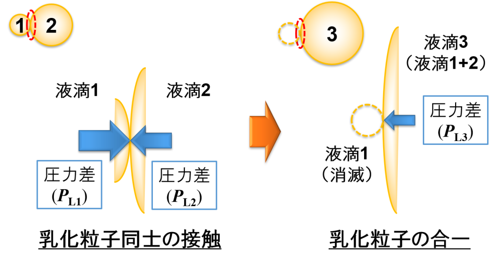 乳化粒子同士の接触に伴う合一