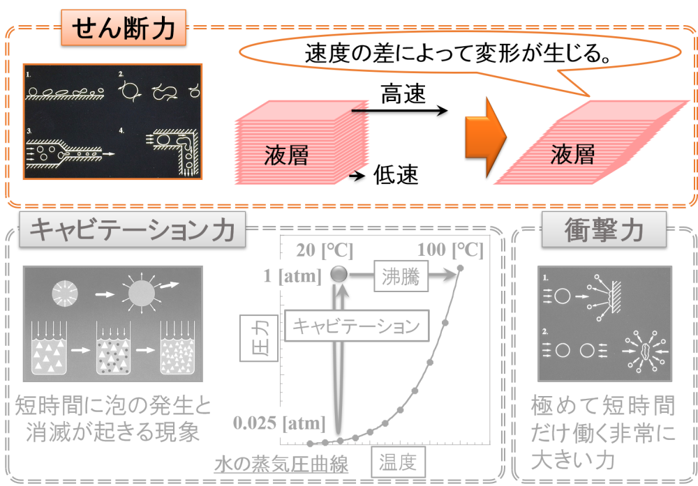 せん断力