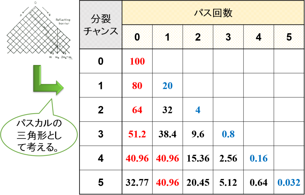 パスカルの三角形とパス回数（分裂確率20%）