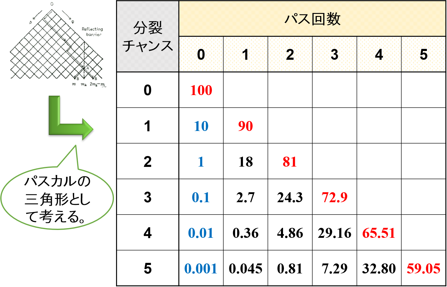 パスカルの三角形とパス回数（分裂確率90%）