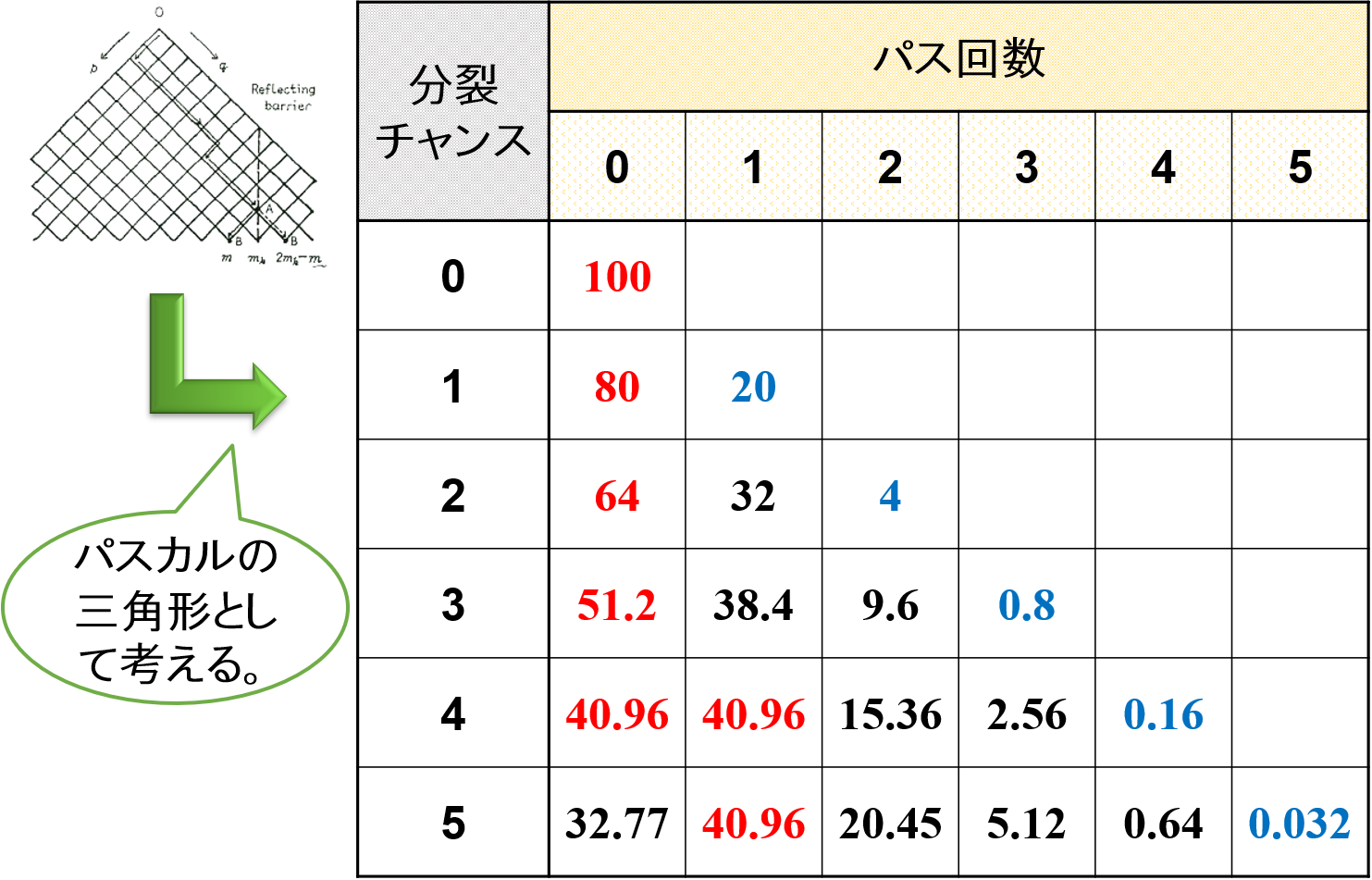 パスカルの三角形とパス回数（分裂確率20%）