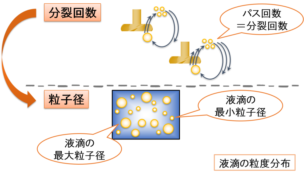 分裂回数 → 粒子径