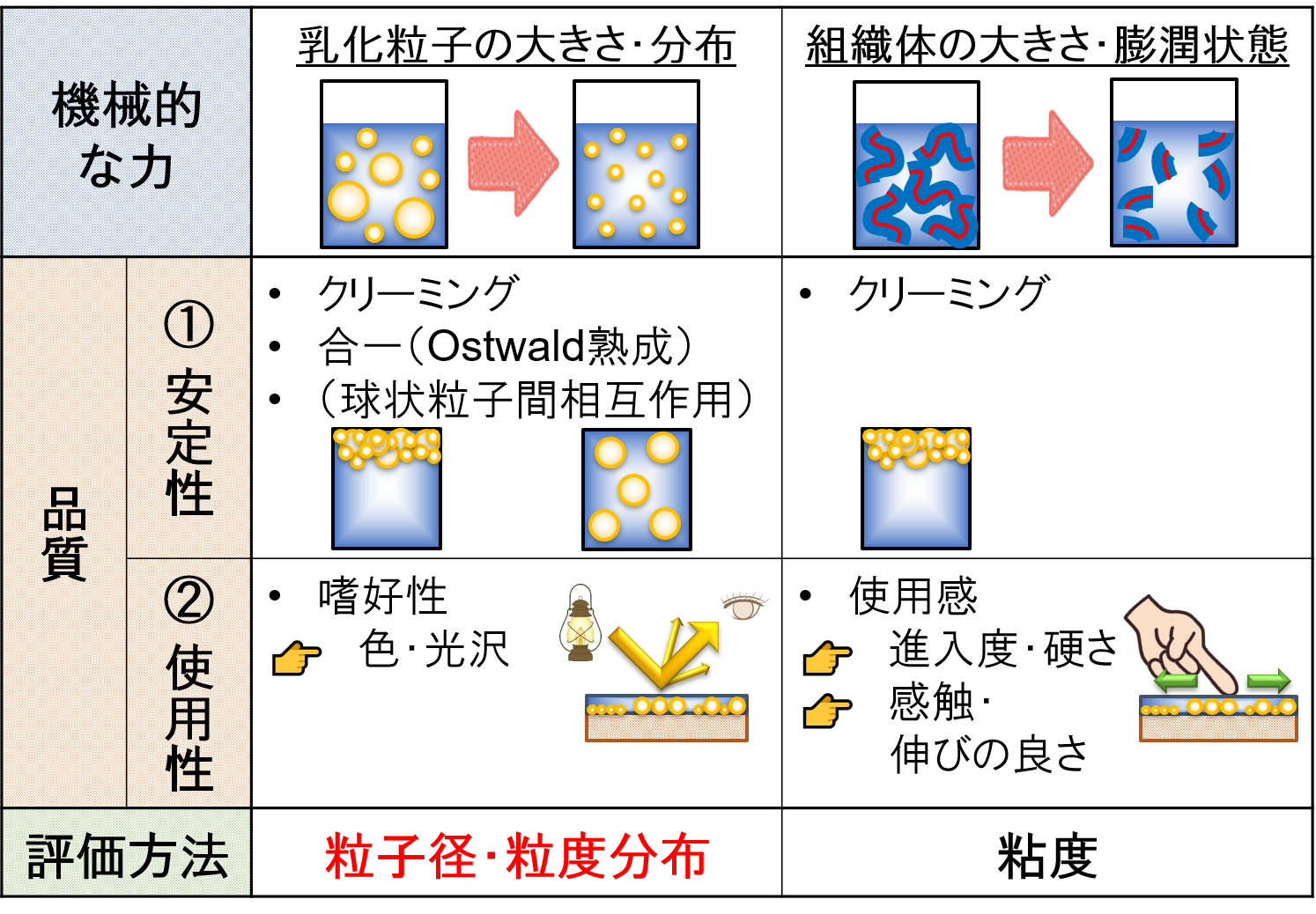 機械的な力による影響2