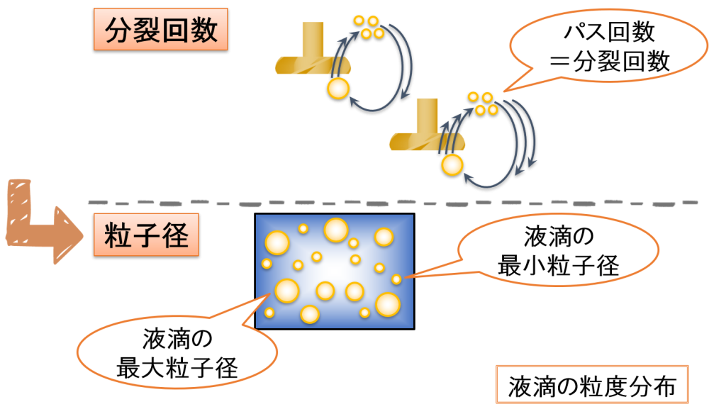 分裂回数 → 粒子径