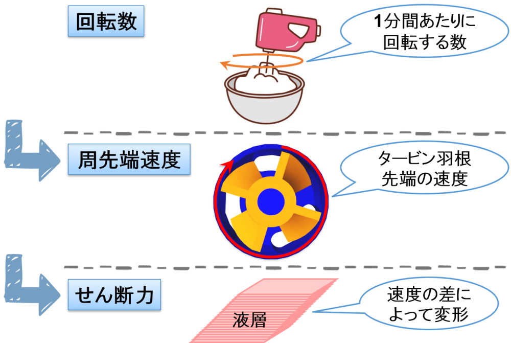 回転数 → 周先端速度 → せん断力
