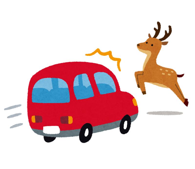 鹿の飛び出し事故