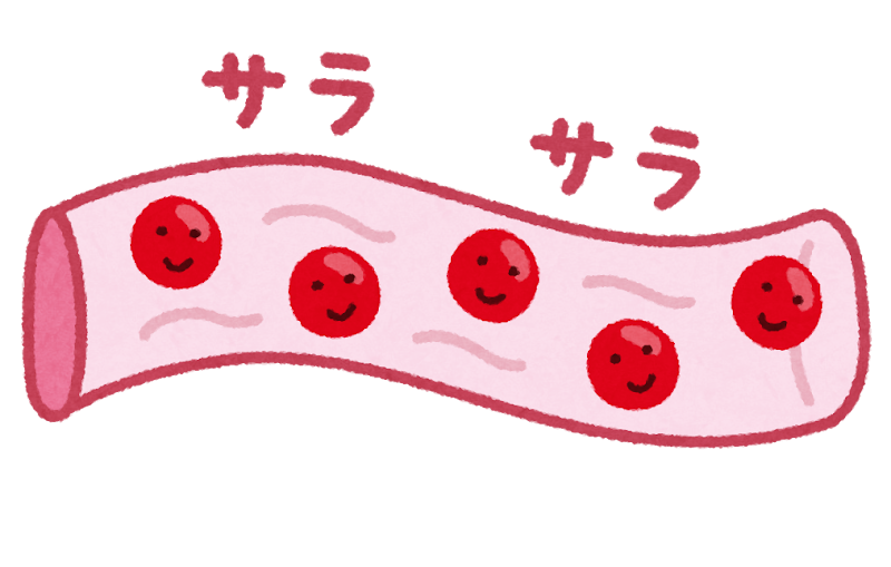 サラサラの血が流れる血管